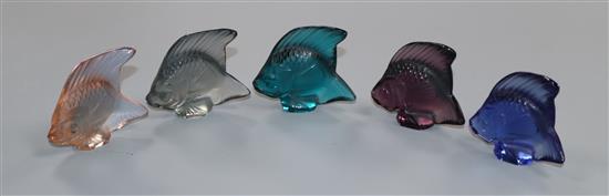 Five coloured Lalique glass fish (four boxed)